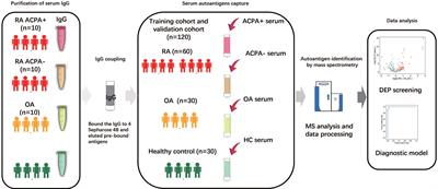 Frontiers Serum Antigenome Profiling Reveals Diagnostic Models